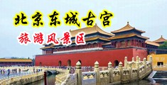 大黑吊日大黑逼视频中国北京-东城古宫旅游风景区