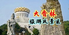 吊插进女人的屄里免费视屏中国浙江-绍兴大香林旅游风景区